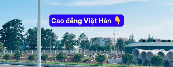 Bán đất tại Thái Đào, Bắc Giang. Diện tích 129m2-02