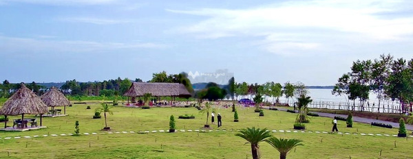 Vị trí đặt nằm tại Thanh An, Bình Phước bán đất, giá bán mềm 290 triệu có diện tích thực là 1000m2-02