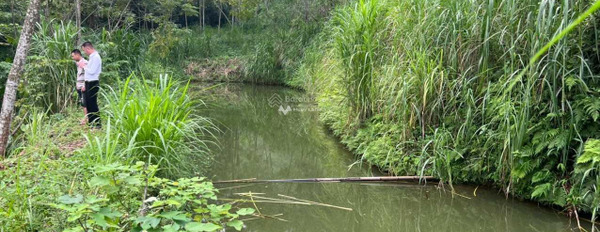 Bán đất tại Tú Sơn, Kim Bôi. Diện tích 2500m2-02