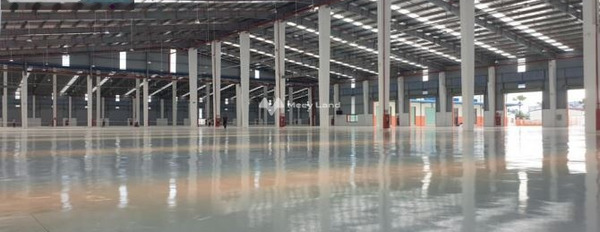 Cho thuê kho bãi diện tích 3700m2 vị trí thuận lợi ngay trên Nguyễn Văn Linh, Long Biên-03