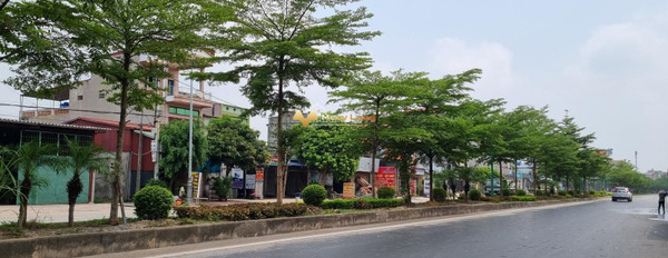 Chuyển định cư bán đất Thị Trấn Lim, Huyện Tiên Du giá đề xuất từ 6.2 tỷ dt quy ước 90 m2-02