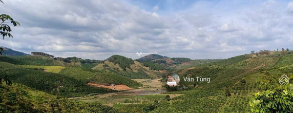 Bán đất 1.98 tỷ Phi Tô, Lâm Hà diện tích thực dài 4400m2-03
