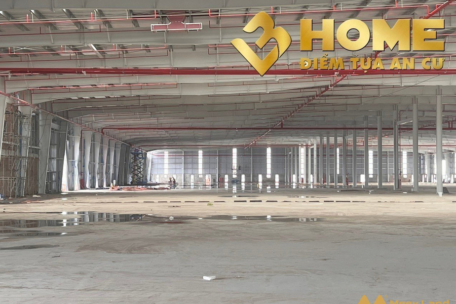 Cho thuê kho xưởng xây mới tại khu công nghiệp Đình Vũ từ 3600m2 đến 23760m2 có trạm biến áp PCCC tự động-01