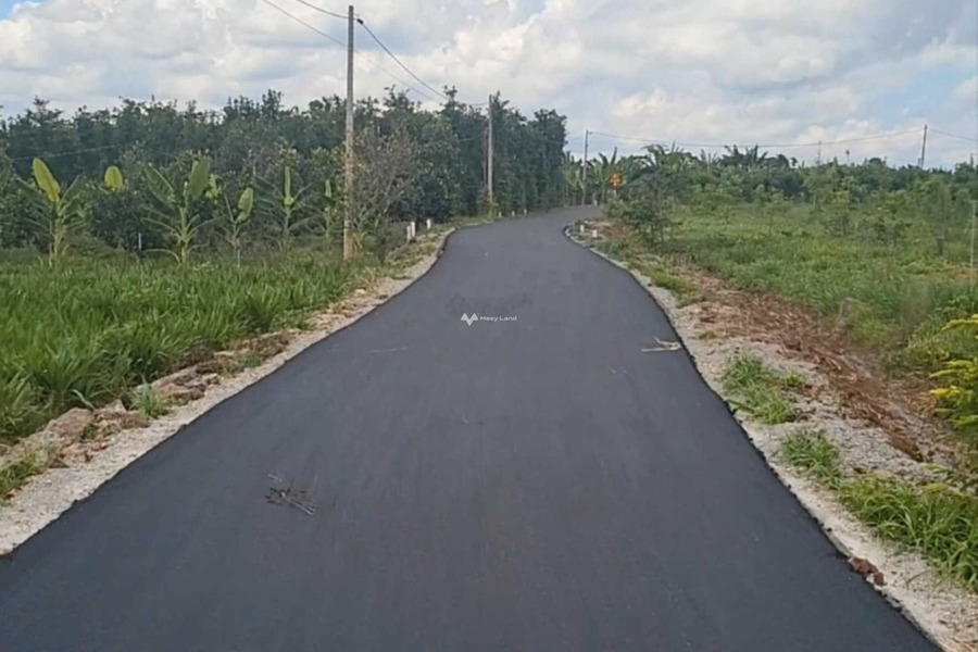 Giá siêu khủng 6.5 tỷ, Bán đất diện tích cụ thể 6000m2 Phía trong Châu Đức, Bà Rịa-Vũng Tàu, hướng Đông - Nam khu vực đông đúc-01