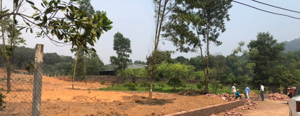 Chính chủ nhờ bán lô đất xây homestay tại Hiền Ninh, Sóc Sơn-03