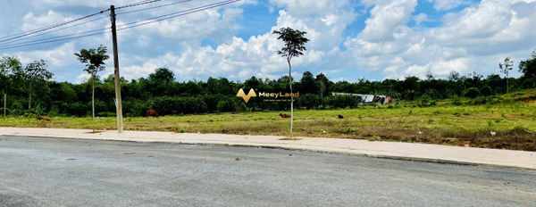 Thị Xã Phú Mỹ, Tỉnh Bà Rịa - Vũng Tàu bán đất, diện tích thực dài 340 m2-02