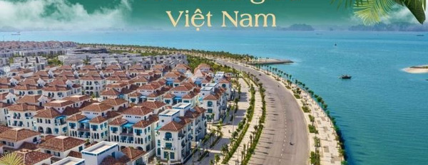 Bãi Cháy, Bãi Cháy, bán biệt thự, bán ngay với giá siêu rẻ từ 24.4 tỷ diện tích vừa phải 180m2, nhà này bao gồm 3 phòng ngủ liên hệ liền-02