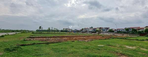Vị trí ở Sóc Sơn, Hà Nội bán đất, giá bán đặc biệt 3.99 tỷ diện tích thực khoảng 105m2-02