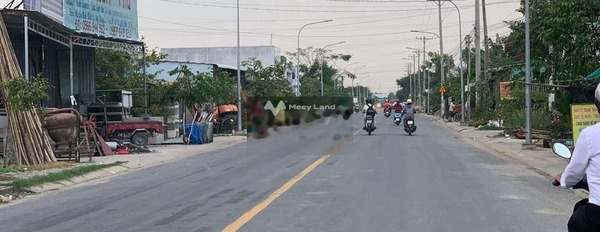Tại Nguyễn Hữu Trí, Tân Túc bán đất 1.4 tỷ diện tích tổng 100m2-02