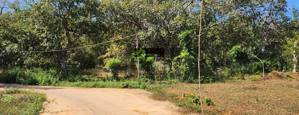 Tọa lạc gần Thanh Phú, Bình Phước bán đất, giá bất ngờ từ 170 triệu, hướng Bắc diện tích rộng rãi 150m2-02