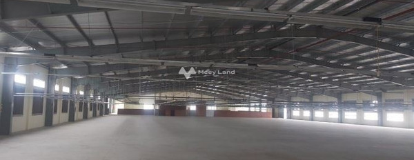 Mình đang cho thuê kho bãi tổng diện tích là 33150m2 trong Hoằng Đông, Hoằng Hóa thuê ngay với giá hấp dẫn chỉ 1.92 tỷ/tháng vị trí siêu đẹp-02