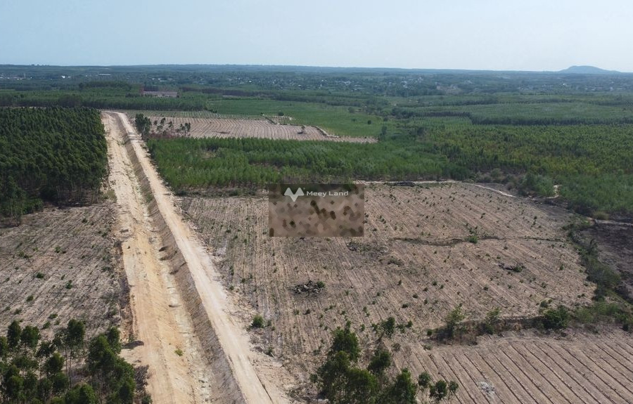Ở Tân Bình, Bình Thuận bán đất 700 triệu, hướng Nam với diện tích là 2000m2-01