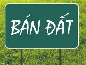 Cần tiền xoay sở bán đất Quận Bắc Từ Liêm, Hà Nội giá bán siêu rẻ từ 23 tỷ Diện tích đất 145 m2