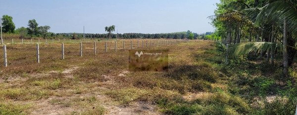 Giá bán thỏa thuận 800 triệu bán đất diện tích thực tế 1130m2 tọa lạc gần Cây Da, Tây Ninh-02