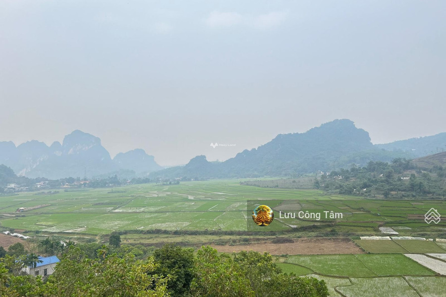Ở Hòa Sơn, Lương Sơn bán đất toàn bộ khu vực có diện tích 6.8m2-01