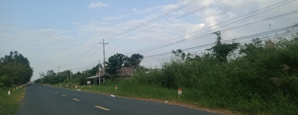 Bán gấp miếng đất tại ấp 9, xã Khánh An, huyện U Minh, tỉnh Cà Mau-02