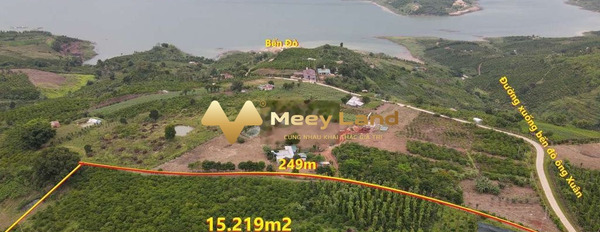 Nằm ở Tân Nghĩa, Lâm Đồng bán đất, giá bán vô cùng rẻ chỉ 15 tỷ diện tích tổng 15219 m2-03
