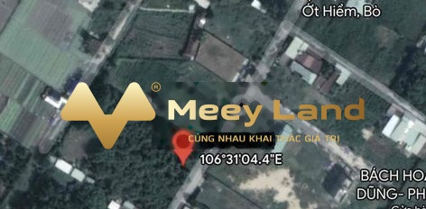 Giá hạt dẻ chỉ 7.8 tỷ bán đất với tổng diện tích 920m2 mặt tiền nằm ngay trên Tân Thông Hội, Hồ Chí Minh-03