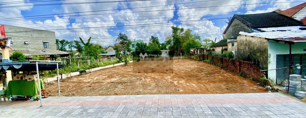 Trần Phú, Điện Thắng Trung bán đất giá khủng chỉ 790 triệu diện tích cụ thể 100m2-02