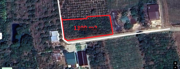 Bán đất chính chủ Hoà Ninh - Di Linh 3166m2 sát mặt tiền Quốc Lộ 20, giá 2,96 tr/m2 -02