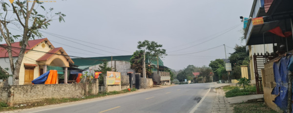 Bán gấp nhà mặt đường quốc lộ 217 xã Cẩm Bình, huyện Cẩm Thủy, tỉnh Thanh Hóa, 738m2-02