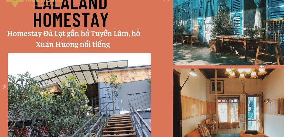 Cho thuê Lalaland Homestay