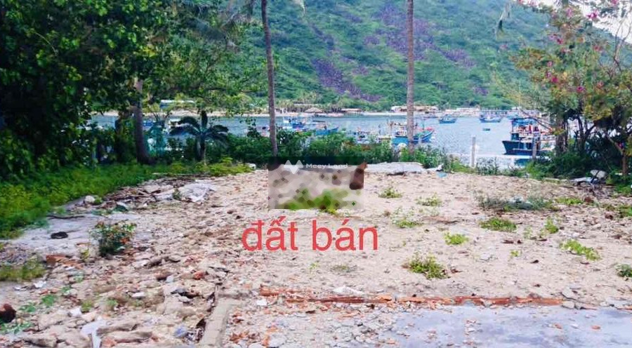 Giá bán chỉ 2 tỷ bán đất có diện tích chính 1997m2 mặt tiền tọa lạc ngay Vĩnh Nguyên, Nha Trang, hướng Bắc-01