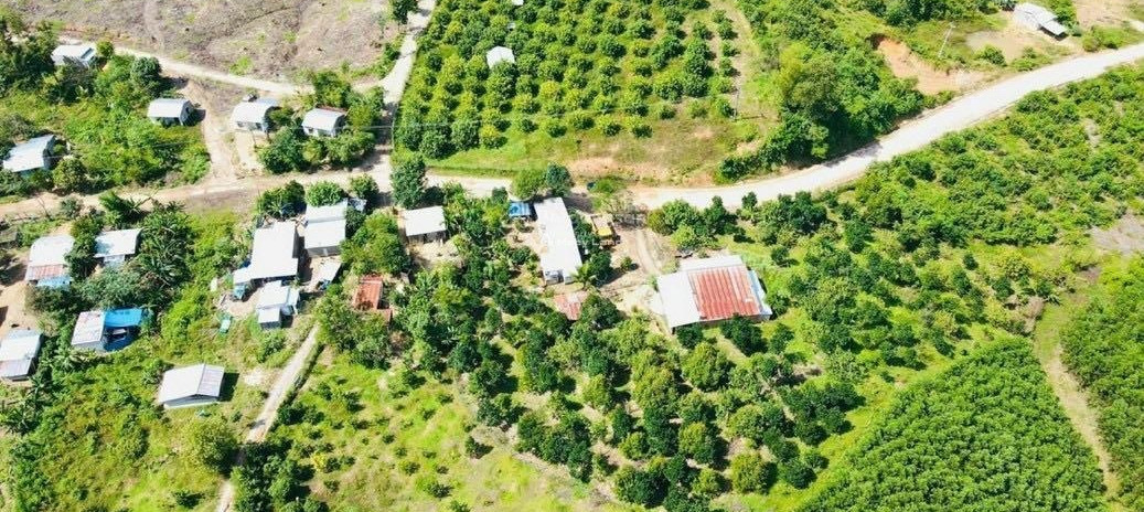 790 triệu bán đất có diện tích gồm 1242m2 vị trí đẹp tọa lạc ngay ở Khánh Vĩnh, Khánh Hòa