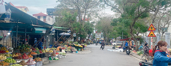 Bán đất Phúc Đồng, Long Biên - Gần trường tiểu học, vườn hoa - 55m2 lô góc, chỉ 3 tỷ-02