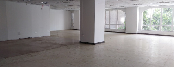Cho thuê mặt bằng tầng 1 tòa văn phòng người Nhật ở Kim Mã, diện tích 200m2-03