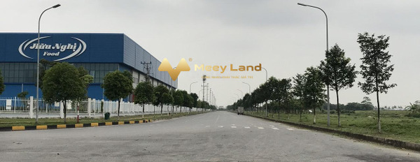 Bán suất đất ngoại giao Vạn Xuân Liên, đối diện khu công nghiệp Yên Phong-03