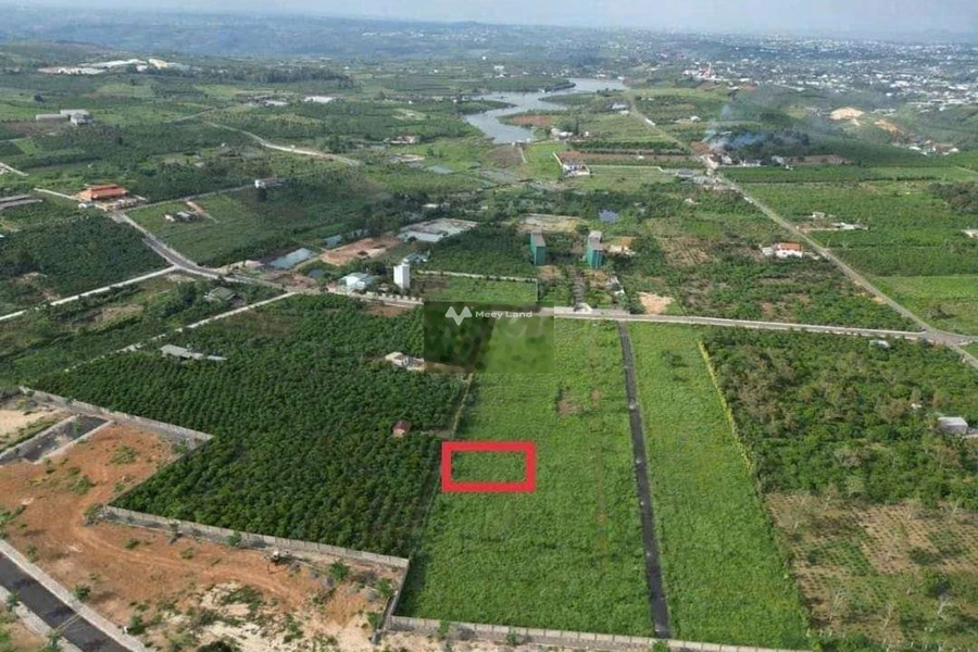 Vị trí đẹp Lê Thị Riêng, Lộc Châu bán đất giá bán tốt bất ngờ chỉ 900 triệu diện tích rộng lớn 450m2-01