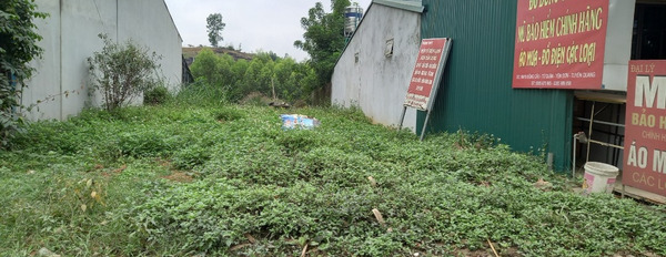Bán đất nền tại xã Tứ Quận, huyện Yên Sơn, tỉnh Tuyên Quang-02