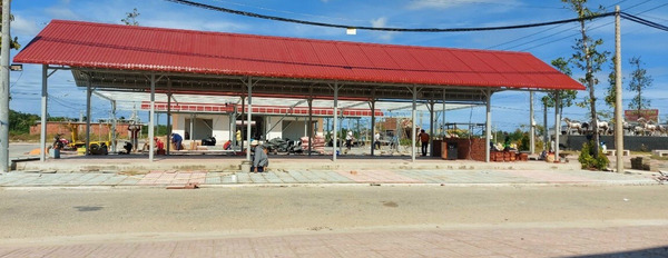Bán đất thổ cư chợ mới Thạnh Phú trên đường vào khu công nghiệp Thạnh Phú Bến Tre-02