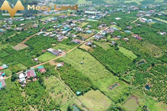 Bán đất diện tích như sau 500m2 mặt tiền nằm tại Lộc Phát, Lâm Đồng-01