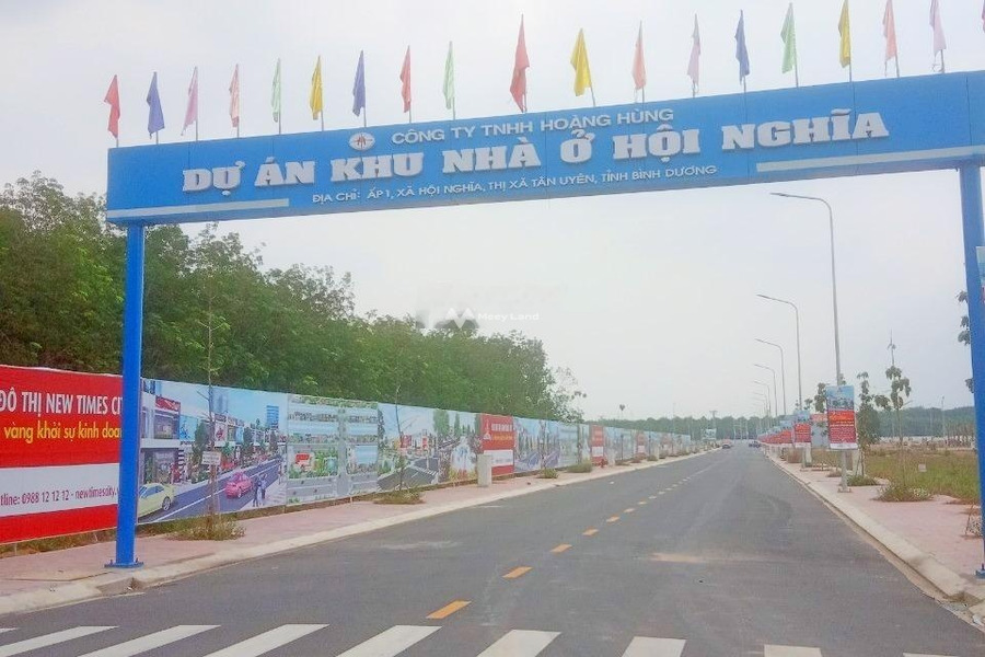 Nằm ngay New Times City bán đất 1.1 tỷ Hội Nghĩa, Tân Uyên diện tích rộng lớn 100m2-01