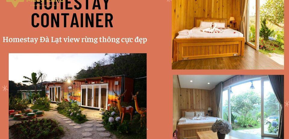 Cho thuê Homestay Container Đà Lạt