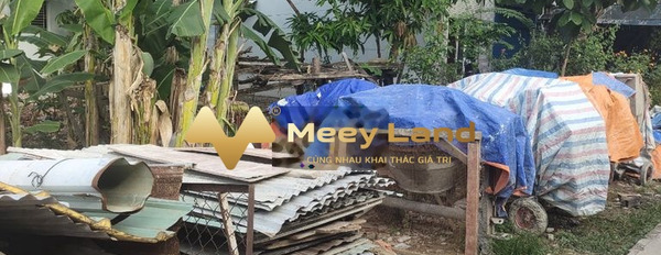 Bán mảnh đất diện tích 437m2 Đông Thạnh, Hồ Chí Minh, giá 5 tỷ-02