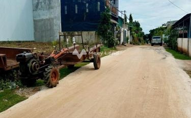 Giá bán hạt dẻ 3.4 tỷ bán đất có một diện tích 300m2 vị trí ngay trên Cư Êbur, Đắk Lắk-03