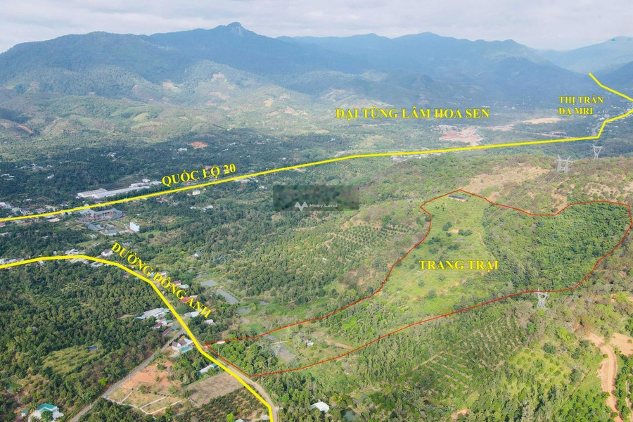 Bán đất diện tích 80000m2 tại Hà Lâm, Đạ Huoai-01