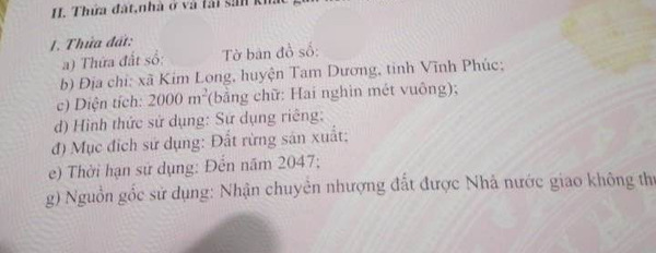 Mua bán đất Huyện Tam Dương Tỉnh Vĩnh Phúc giá 2.0 tỷ-03