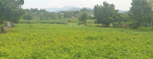 Bán 3880m2 đất view cánh đồng, trục chính xóm Muỗi, Yên Bài, Ba Vì, HN -03