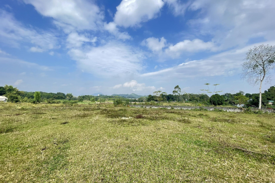 Vị trí đẹp nằm ở Lương Sơn, Hòa Bình bán đất giá khởi điểm từ 8.48 triệu diện tích 5.3m2-01
