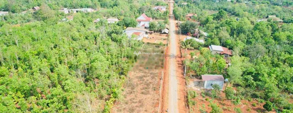 Buôn Hồ, Đắk Lắk 279 triệu bán đất diện tích chung 353m2-03