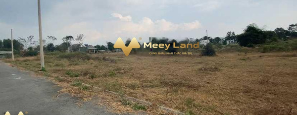 Bán mảnh đất giá 1,45 tỷ, diện tích 100m2 tại Xã Long Phước, Huyện Long Thành-02