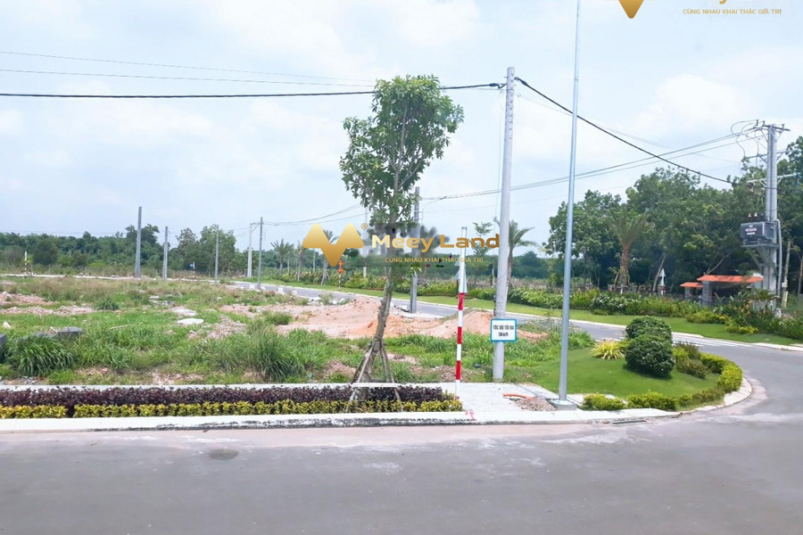 Bán đất diện tích 75m2 tại huyện Bàu Bàng, Bình Dương-01