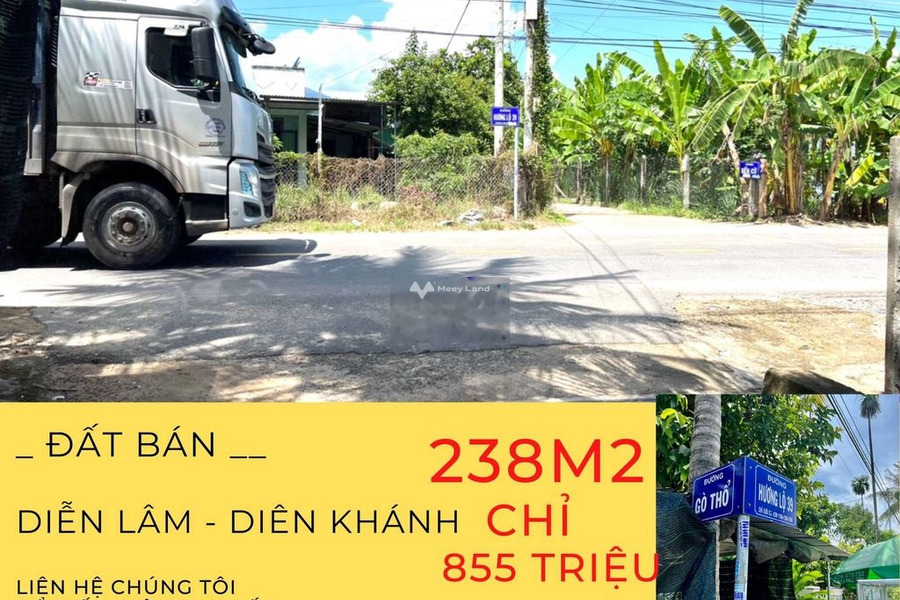 Nằm tại Diên Lâm, Diên Khánh bán đất 855 triệu có diện tích tổng 238m2-01
