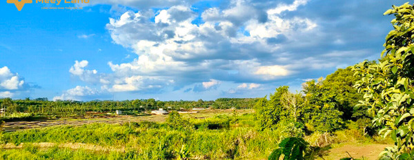 Bán đất sào gần hồ Ea Kao, gần khu du lịch Hoàng Nam, Buôn Ma Thuột, Đắk Lắk-02