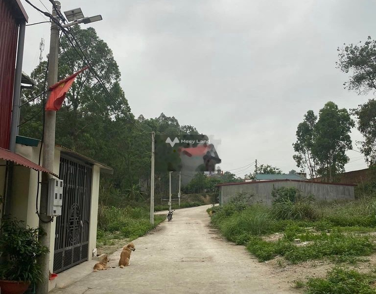 Chính chủ cần bán lô đất ở xã Mai Pha, Lạng Sơn-01