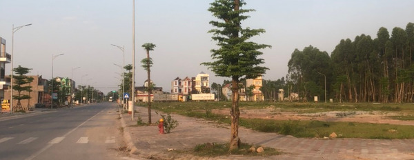 Bán gấp đất phố 2 mặt tiền tại Bắc Giang-03